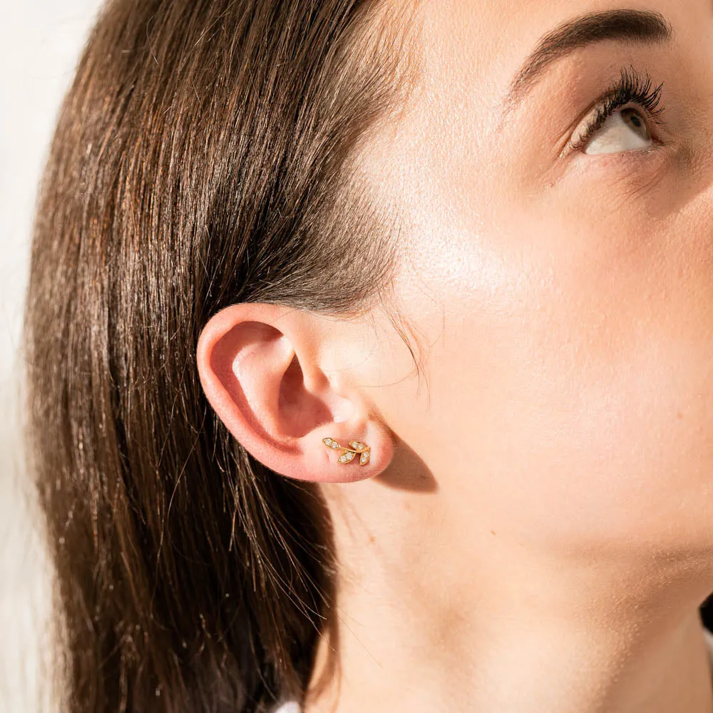 18ct Yellow Gold .24ct Diamond Laurel Earrings