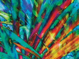Colorful Foliage 07