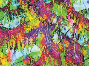 Colorful Foliage 08