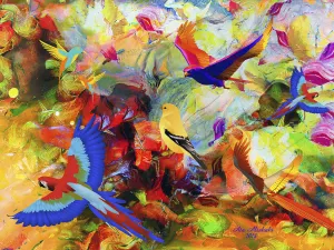 Colorful World Of Birds