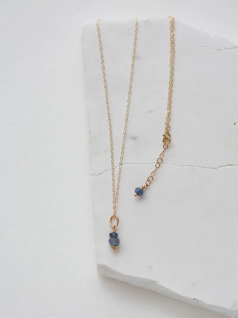 Elle Necklace with Blue Sapphire - 14k Gold